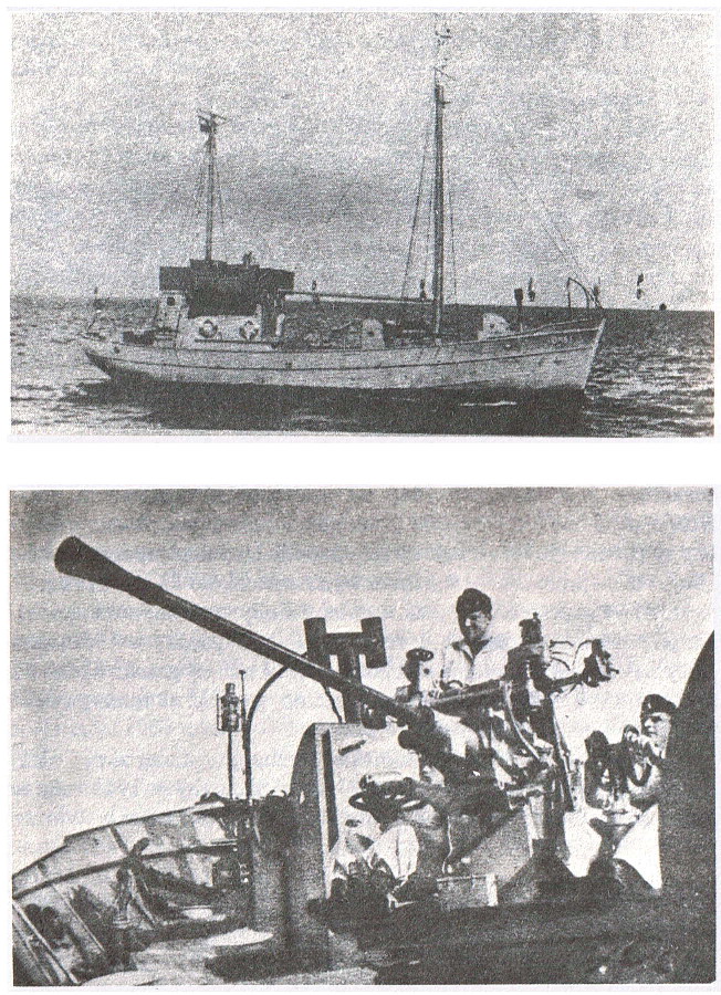 Soroka_DP53.jpg