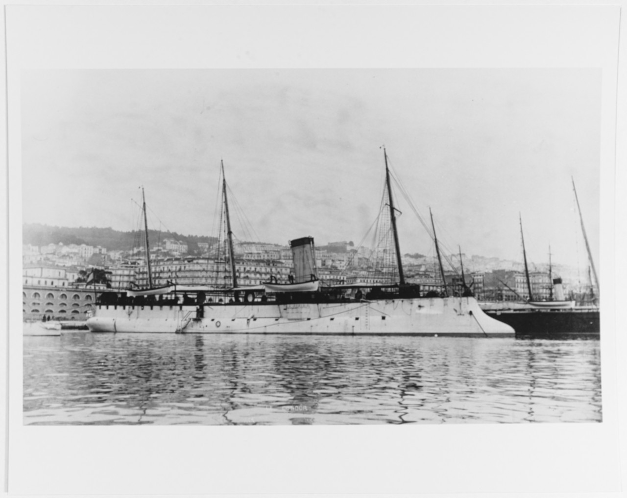 Condor NH 74989.jpeg