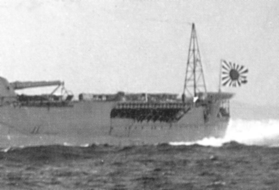 foto-554 Yamato rufa.jpg