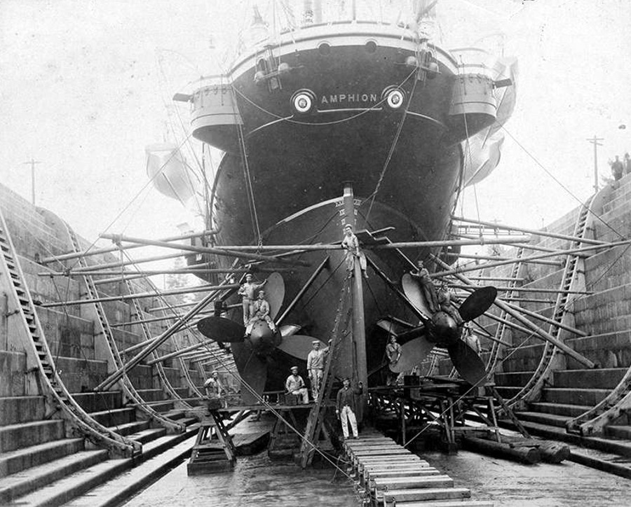 amphion w doku (rufa).jpg