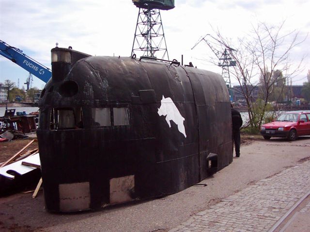 dzik_122.jpg