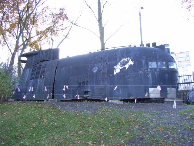 dzik_858.jpg