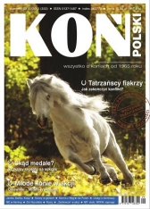 kon polski.jpg
