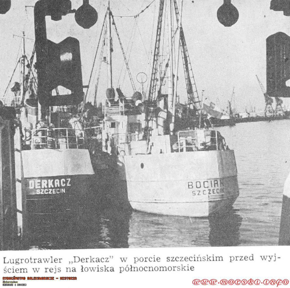 dib_w1.jpg