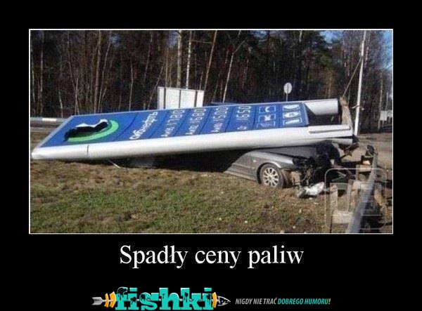foto_f18f9c7a7641b3626ad53f006a0abf5f.jpg