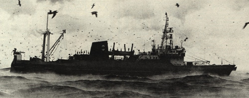 Źródło: http://www.bembridge.com.pl/_files_/auto_files/galeria/Morze/Lata%2070/1975_02_www/Strona%2003.jpg