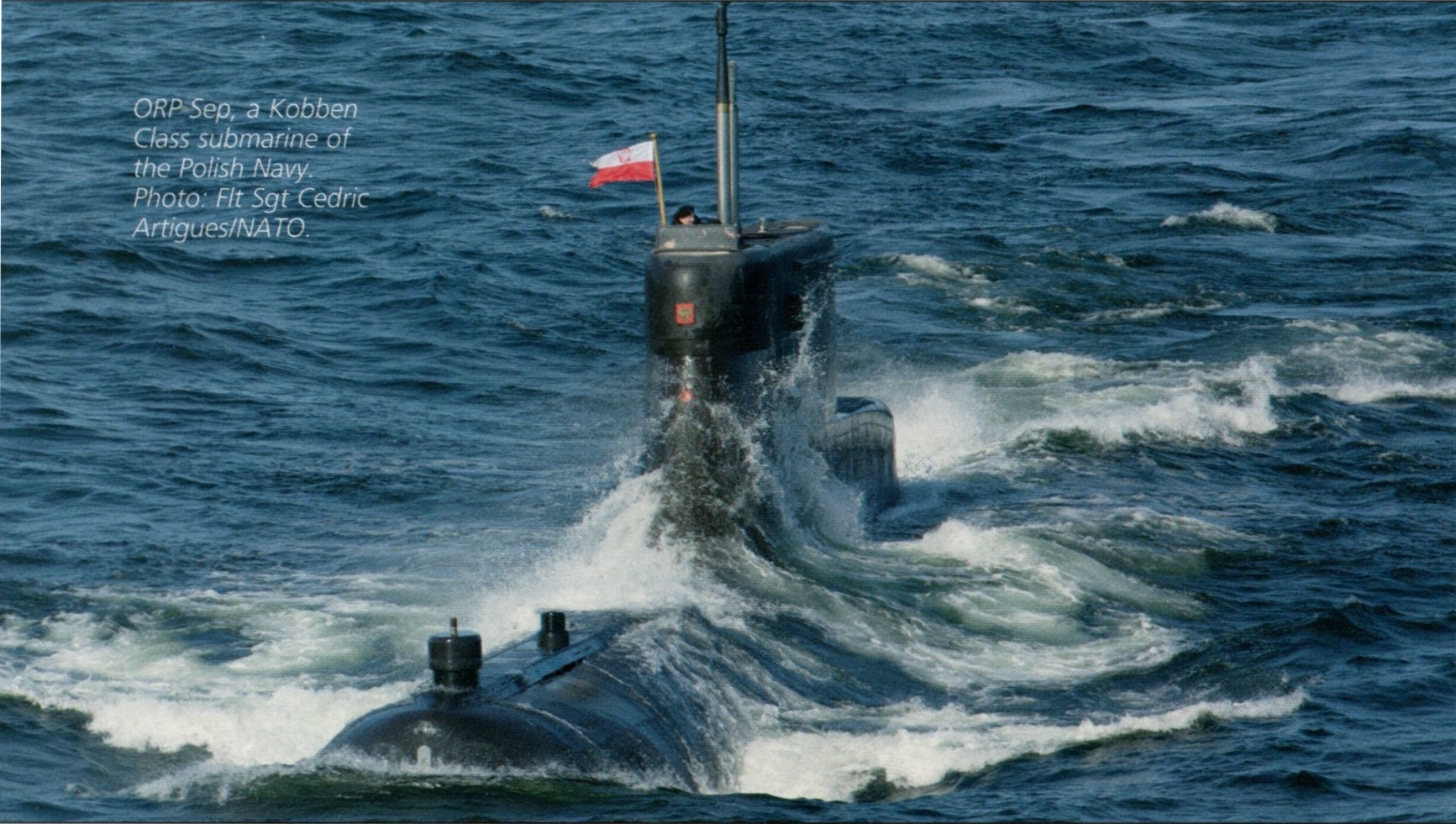 ORP Sęp.jpg
