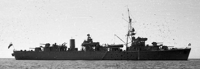 Ratajczak A (32) GRYF.jpg