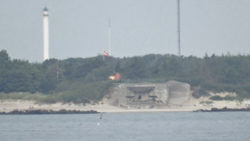 DSC00508.jpg