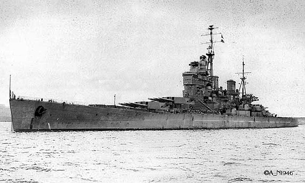 lion-2.jpg
