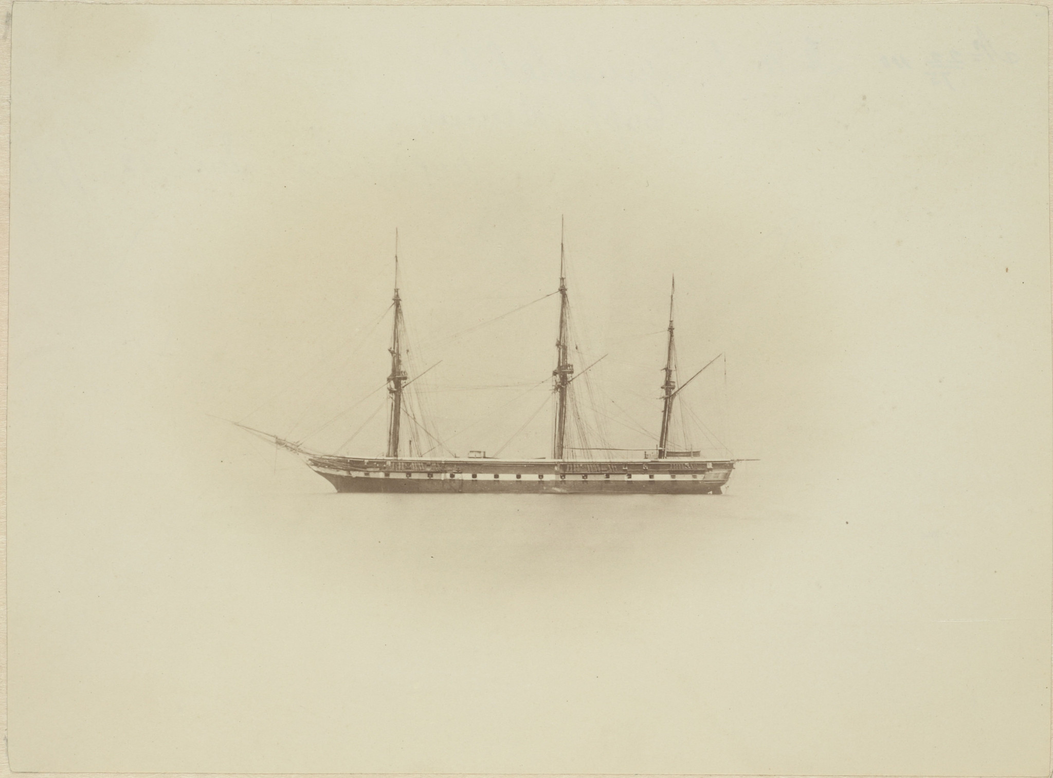 Immortalite 1873.jpg